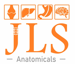 JLS ANATOMICALS